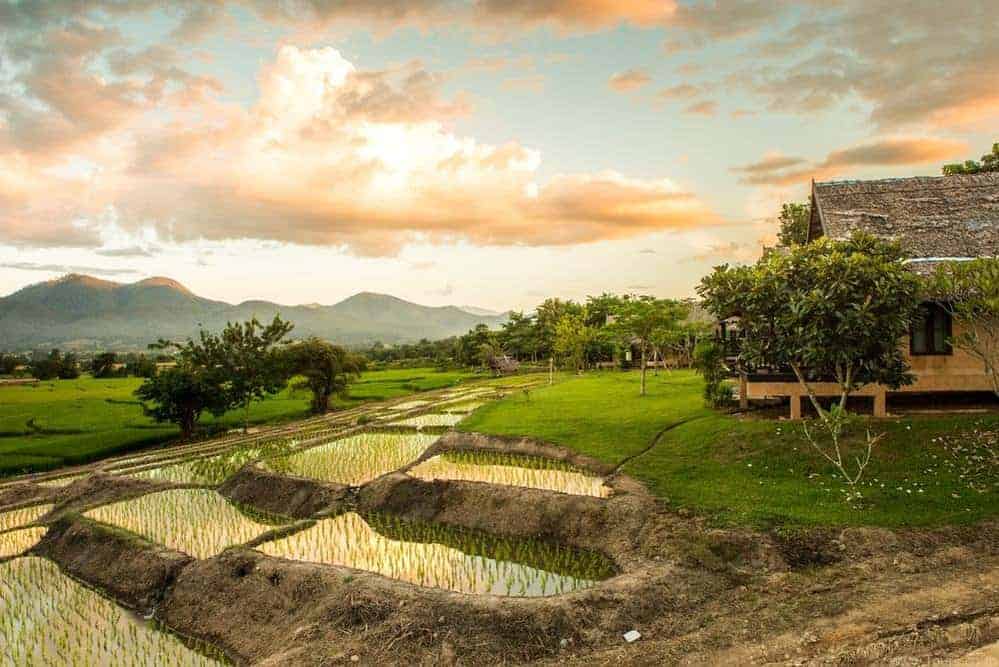Exploring Thailand's Rich Cultural History at Chiang Mai 1 Rice paddies and traditional house in rural Thailand at sunset.