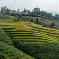 Trekking a Kew Mae Pan desde Doi Inthanon: vistas panorámicas inolvidables