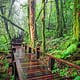 Doi Inthanon's Kew Mae Pan Trek: Unforgettable Panoramic Views