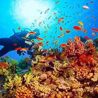 PADI Discover Scuba 3 Times Diving Phuket