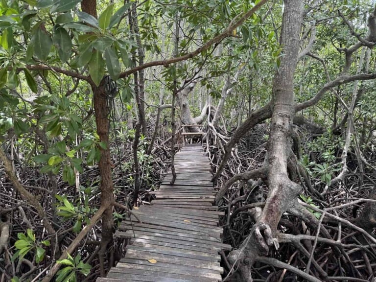 Private Speedboat Tour to Koh Madsum & Koh Tan