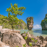 Phi Phi Island & James Bond Island by Sawanu Speed Catamaran