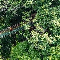 Sky Rock Khaolak Jungle Adventure
